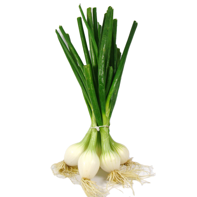 Oignons blancs frais - Un Gout d'ici
