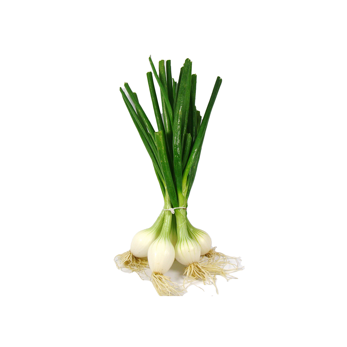 Oignons blancs frais - Un Gout d'ici