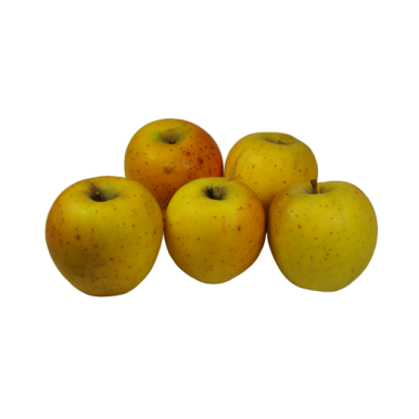 Pomme goldrush (certifie AB)