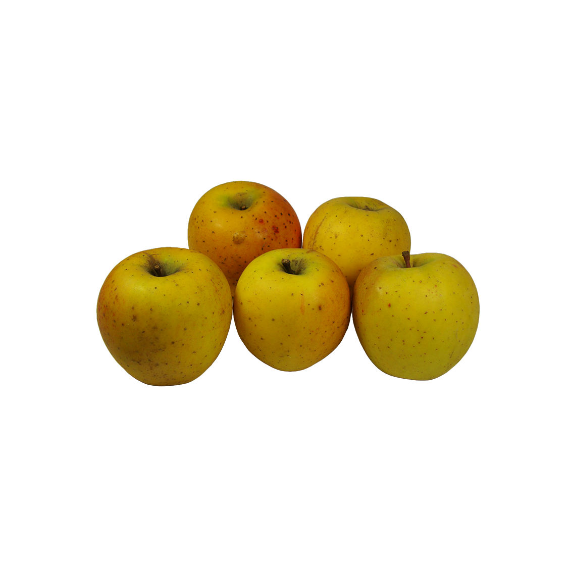 Pomme goldrush (certifie AB)