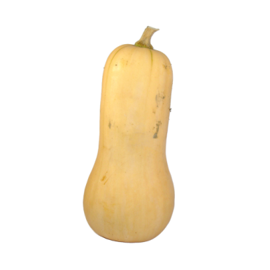 Gros Butternut (certifié AB)