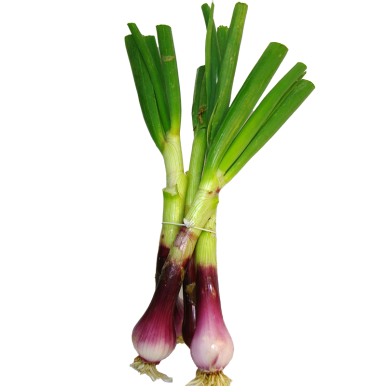 Oignons violets frais | Légumes Frais local - Un goût d'ici