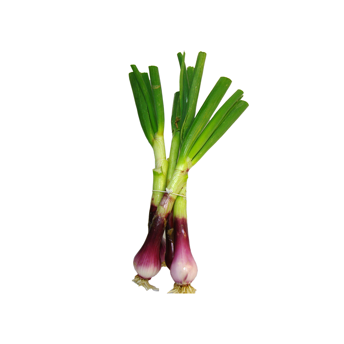 Oignons violets frais | Légumes Frais local - Un goût d'ici