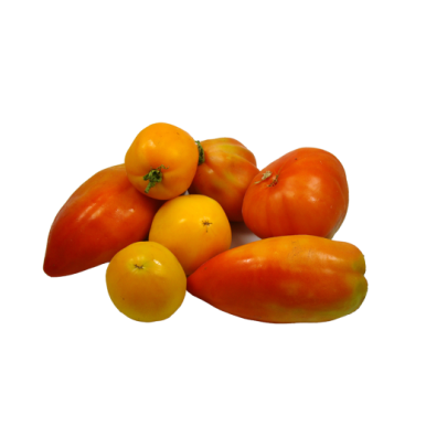 Tomates anciennes (certifié AB)