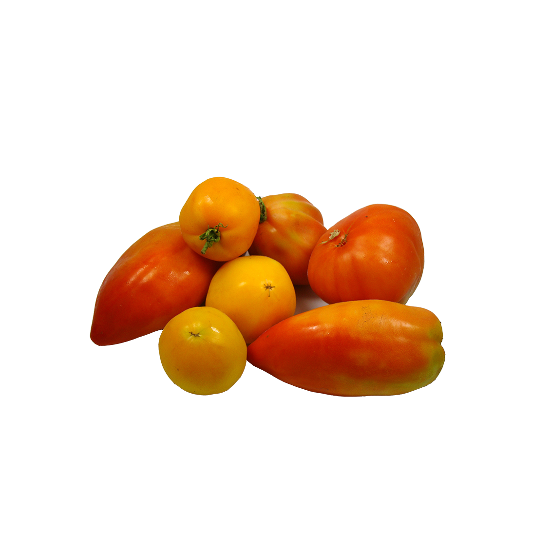 Tomates anciennes (certifié AB)