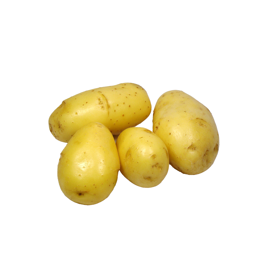 Pommes de terre agata primeur | Légumes Frais local - Un goût d'ici