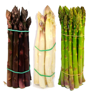 L'asperge