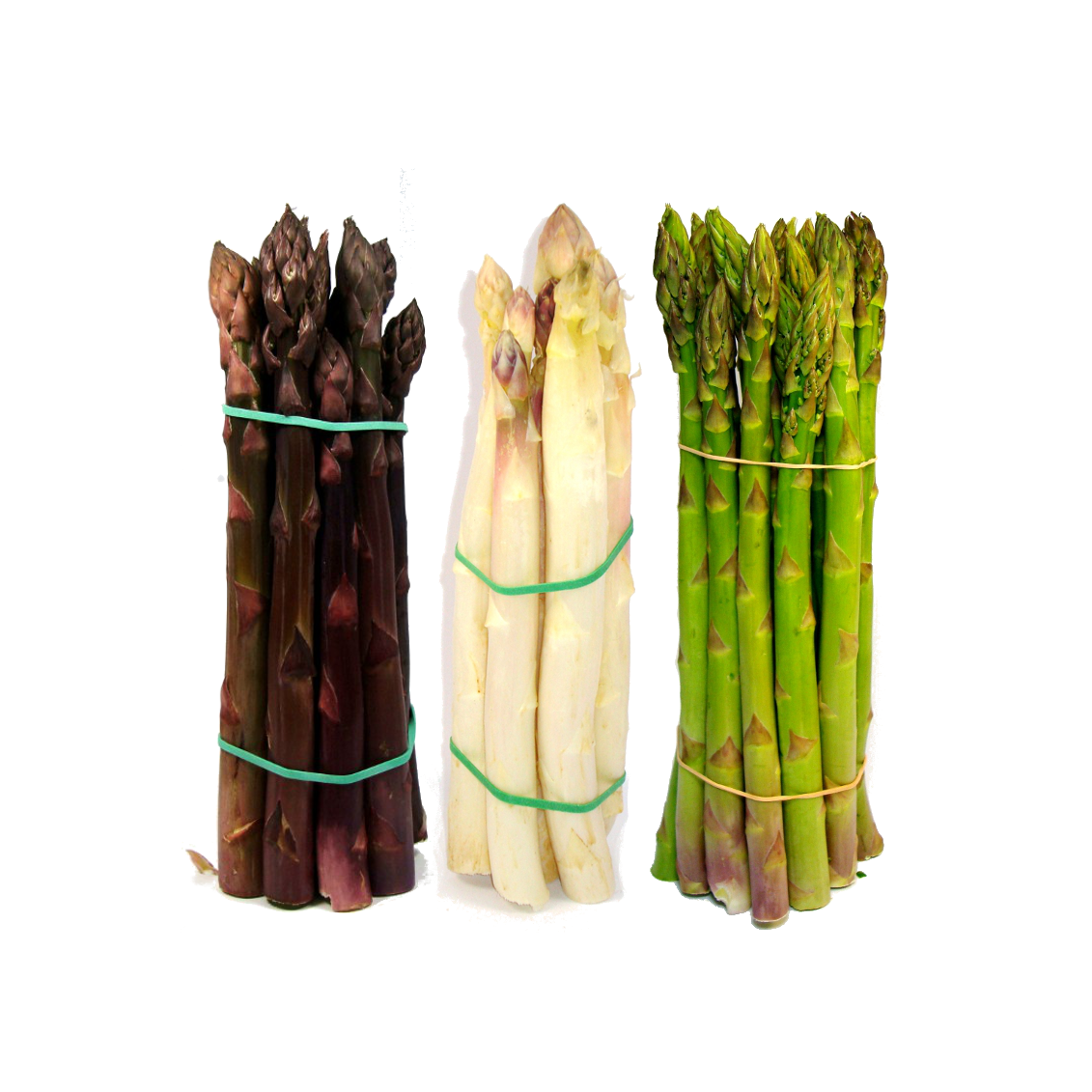 L'asperge L'asperge