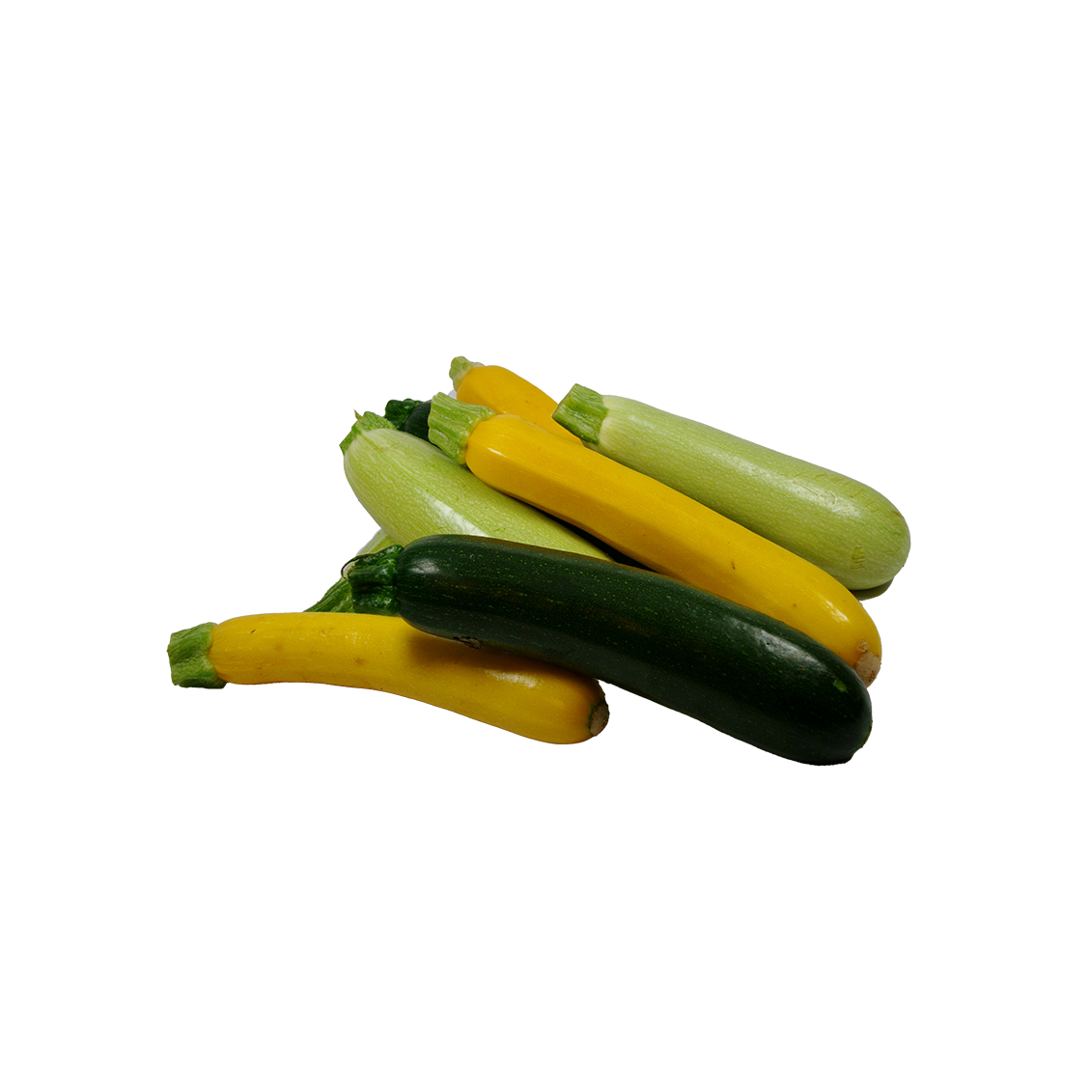 La courgette La courgette