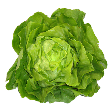 La salade