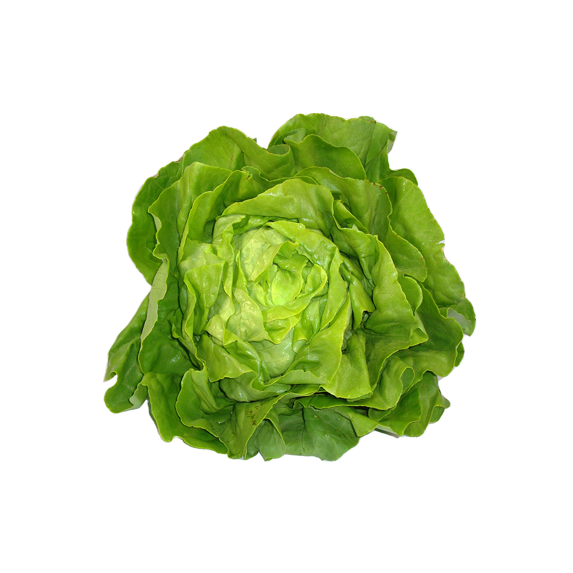 La salade
