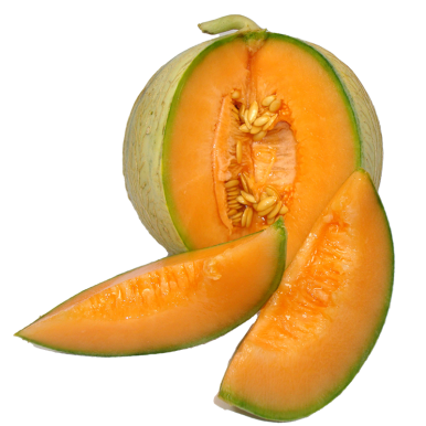 Le melon
