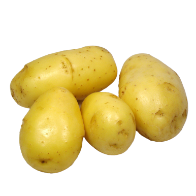 La pomme de terre primeur