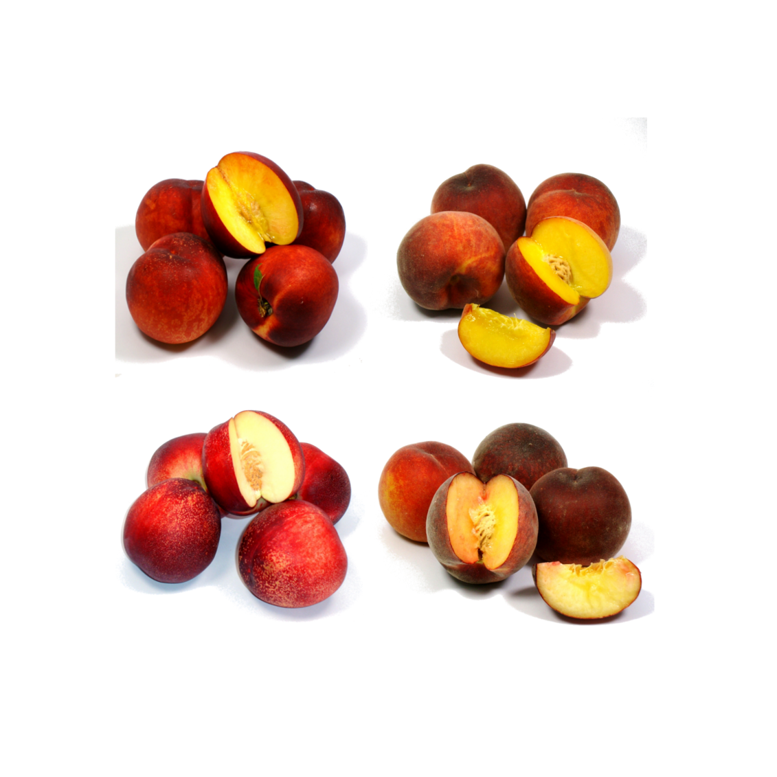 La pêche et la nectarine La pêche et la nectarine