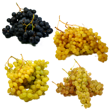 Panier de raisins personnalisé