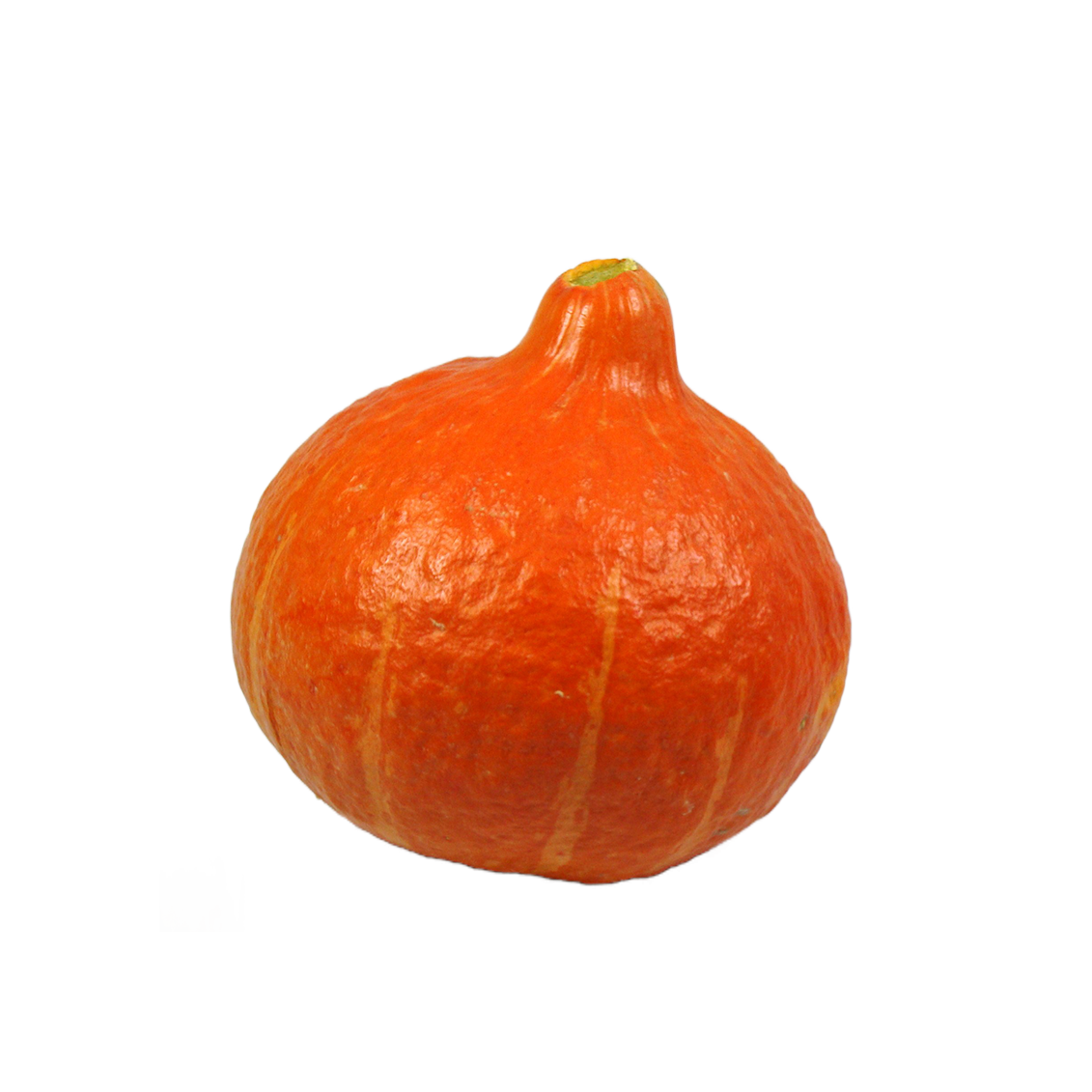 Potimarron - Un Gout d'ici