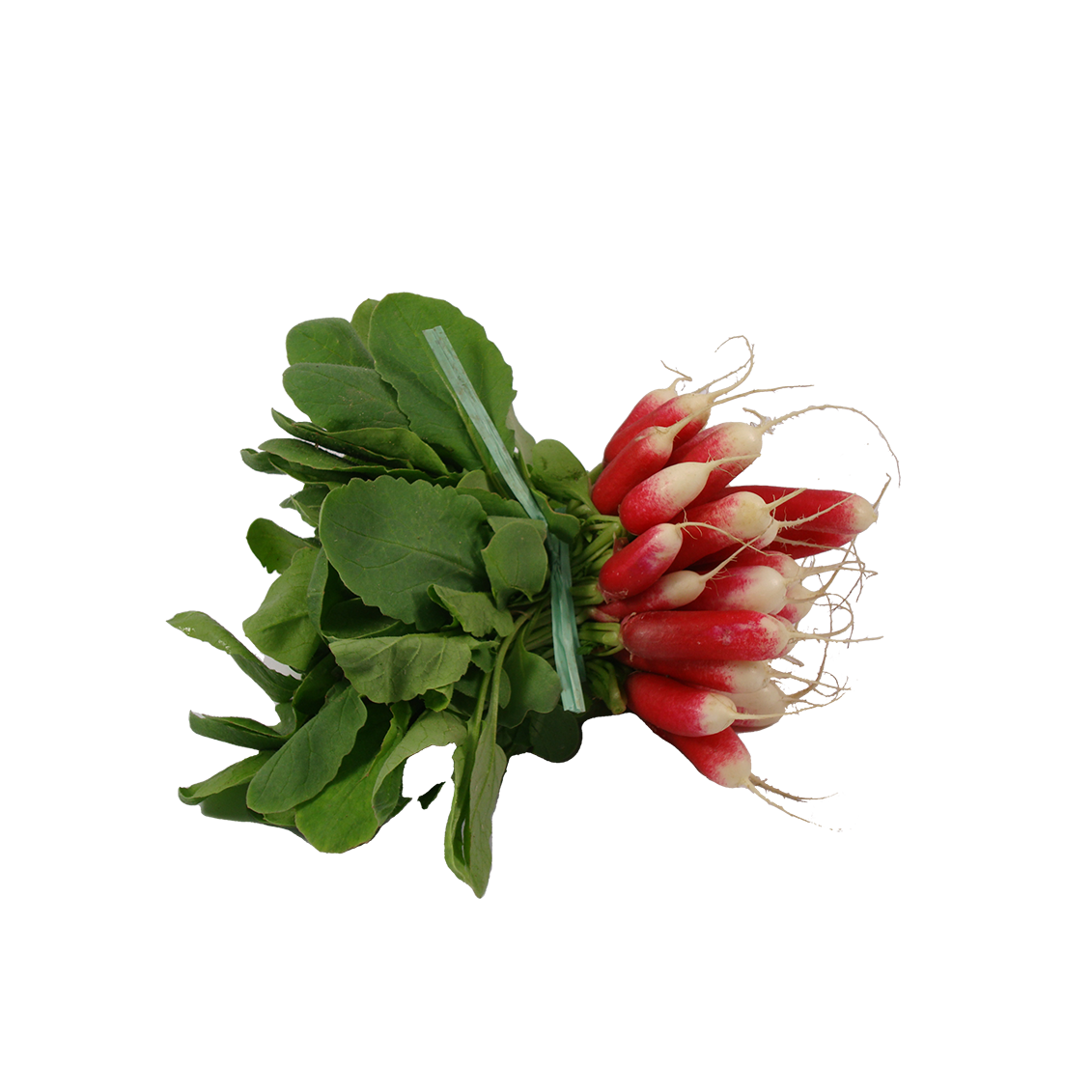 Radis rose longs - Un Gout d'ici Radis rose longs - Un Gout d'ici