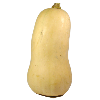 Butternut - Un Gout d'ici