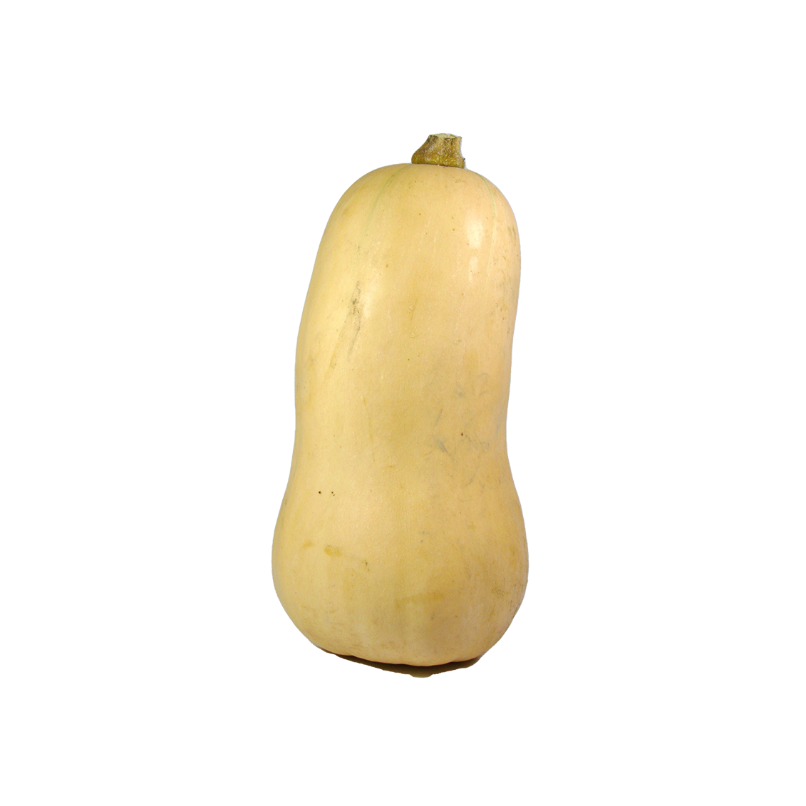 Butternut - Un Gout d'ici Butternut - Un Gout d'ici