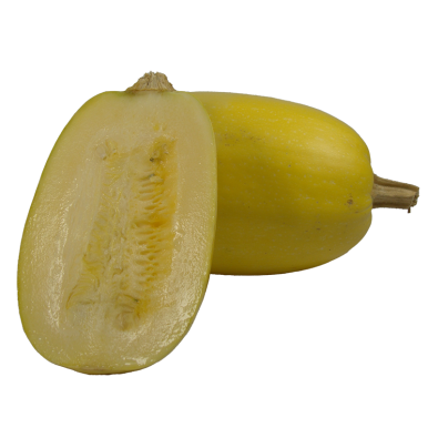 Courge spaghetti moyenne - Un Gout d'ici Courge spaghetti moyenne - Un Gout d'ici