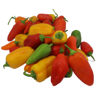 Mini poivrons Snacking (certifié AB)
