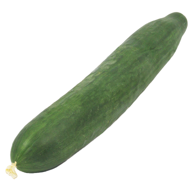 Concombre (certifié AB )
