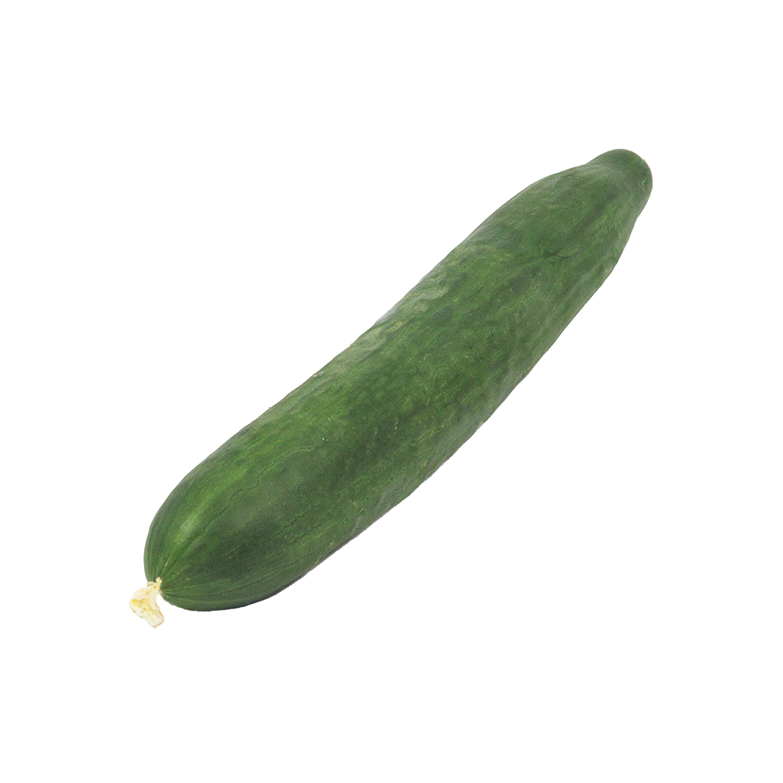 Concombre (certifié AB )