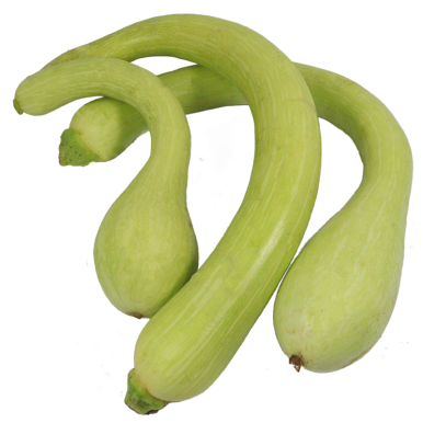 Courgettes longues de nice | Légumes Frais local - Un goût d'ici