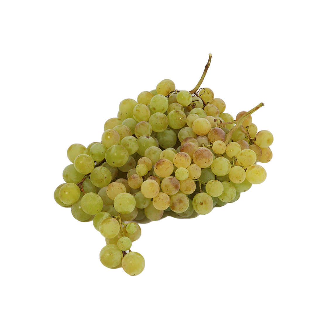 Raisin tahiti