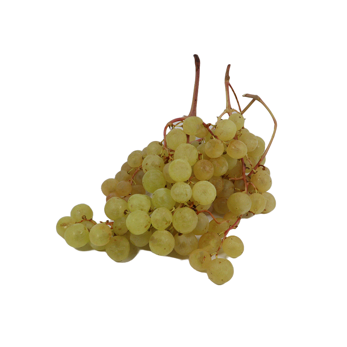 Raisin Danlas