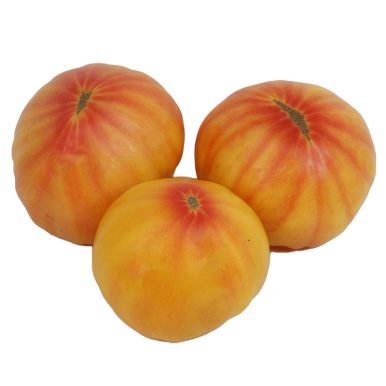 Tomates jaunes - Un Gout d'ici