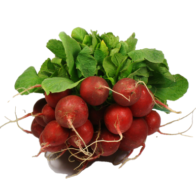 Radis rond rouge - Un Gout d'ici