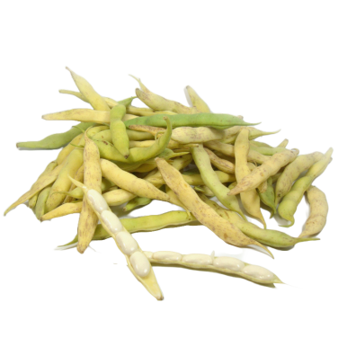 Haricots tarbais demi-sec à  écosser label rouge, igp - Un Gout d'ici