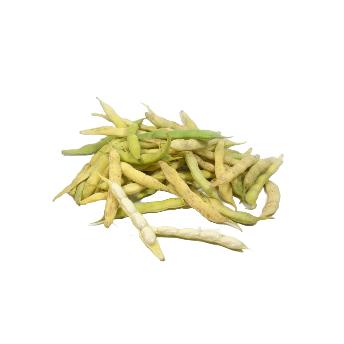 Haricots tarbais demi-sec à  écosser label rouge, igp - Un Gout d'ici
