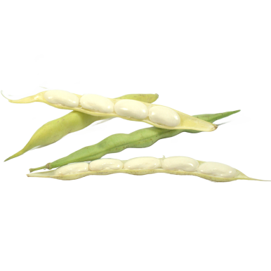 Haricots tarbais label rouge | Légumes Frais - Un goût d'ici