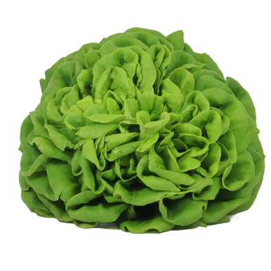 Salade mille feuilles lisse - Un Gout d'ici