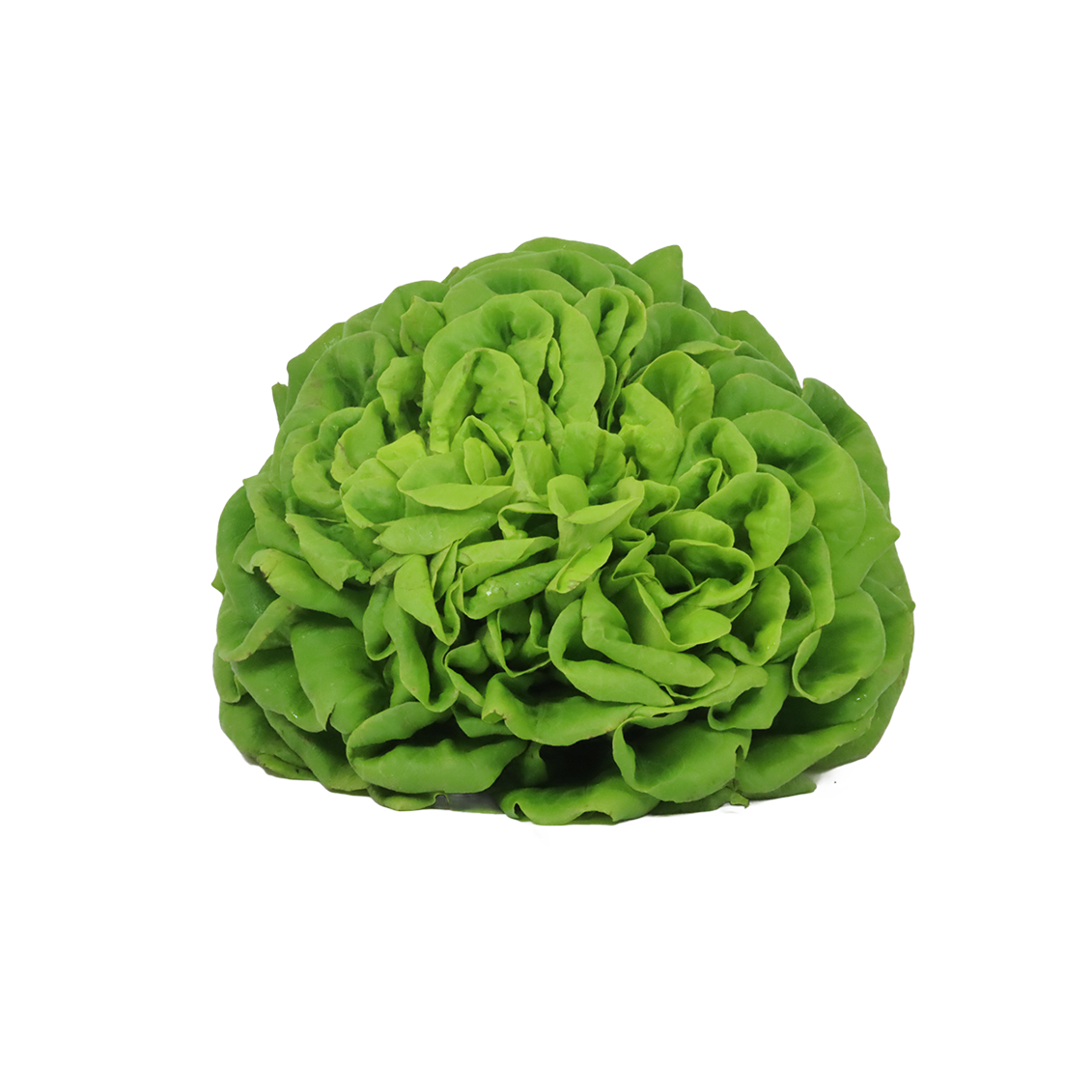 Salade mille feuilles lisse - Un Gout d'ici