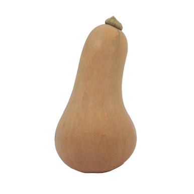 Butternut petit calibre (certifié AB)