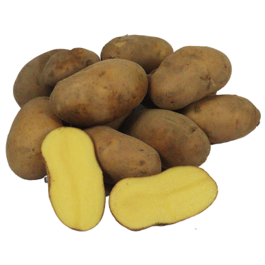 Pommes de terre golden marie (certifié AB)