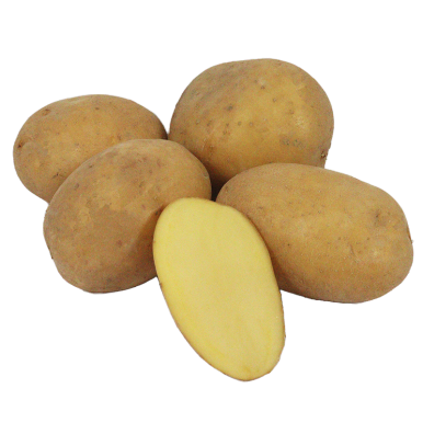 Pommes de terre agata - Un Gout d'ici