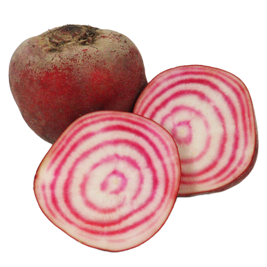 Betterave chioggia crue - Un Gout d'ici