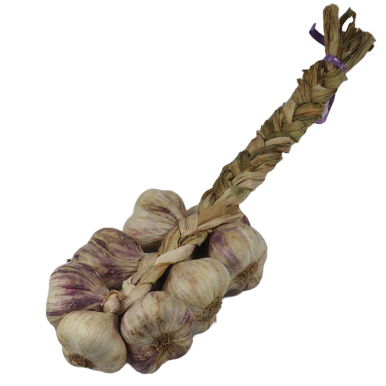 Tresse d'ail violet - Un Gout d'ici