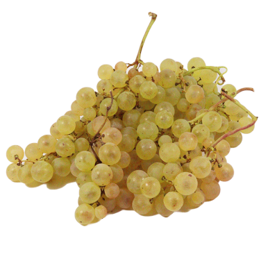 Raisin chasselas (certifié AB)
