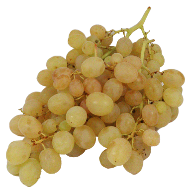 Raisin Ideal