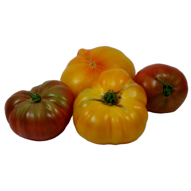 Tomates anciennes variées - Un Gout d'ici