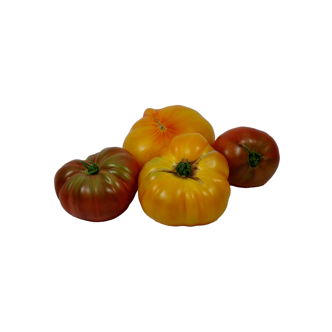 Tomates anciennes variées - Un Gout d'ici