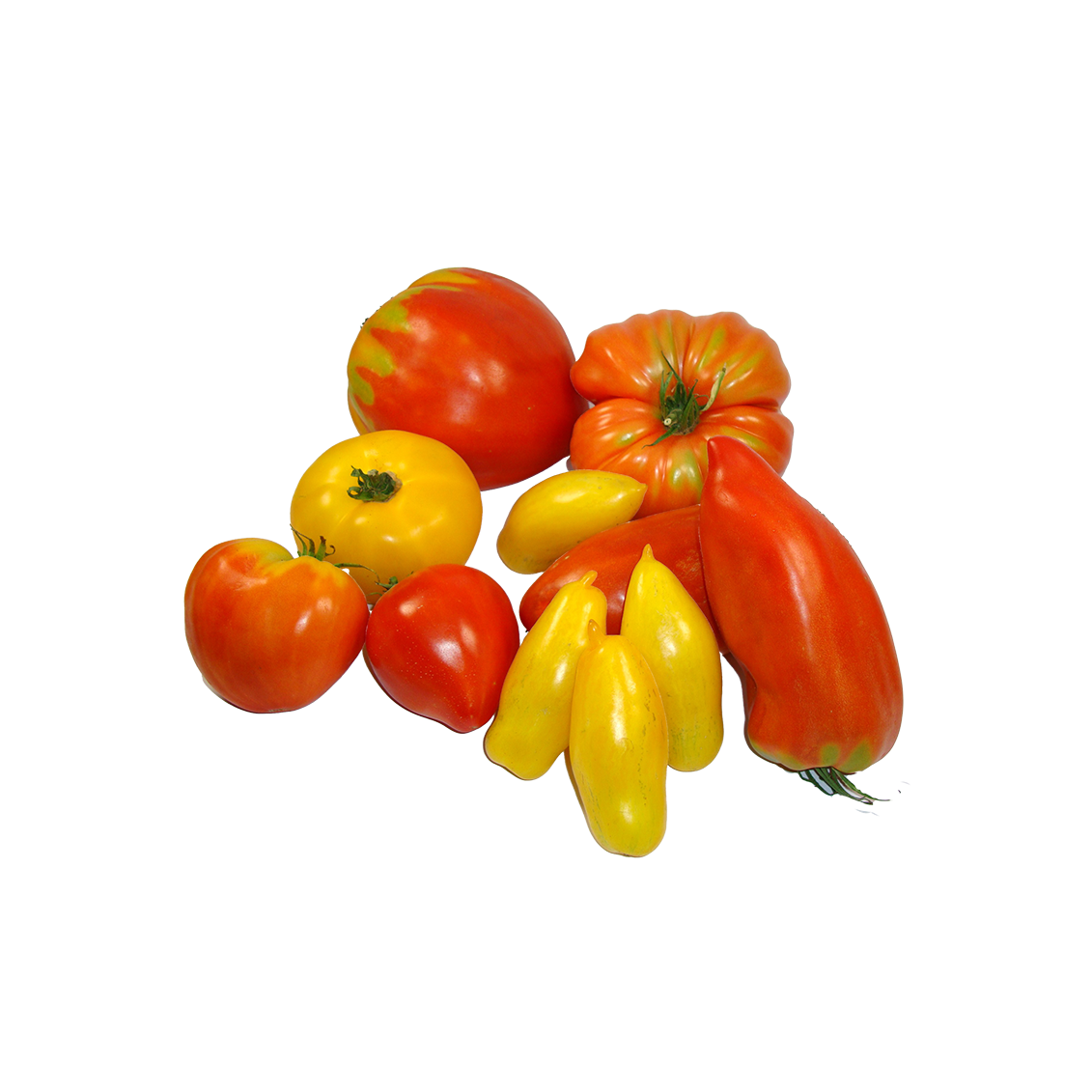 Tomates anciennes variées - Un Gout d'ici