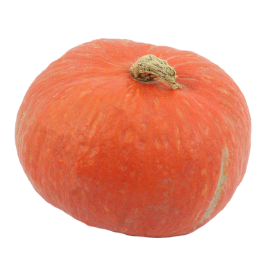 Potimarron (certifié AB)