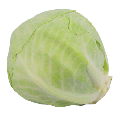 Chou blanc - Un Gout d'ici