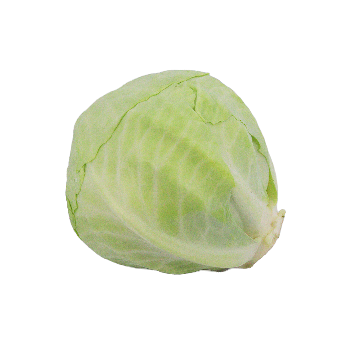 Chou blanc - Un Gout d'ici